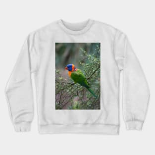 Red Collared Lorikeet Crewneck Sweatshirt